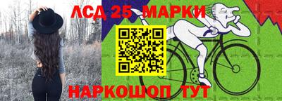 винт Донецк