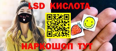 винт Донецк