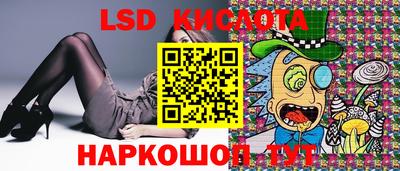 скорость Дубна