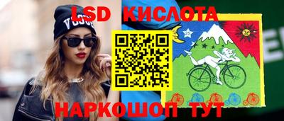 винт Донецк